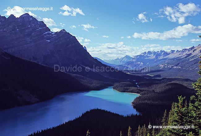 Lago Peyto 32-21-05